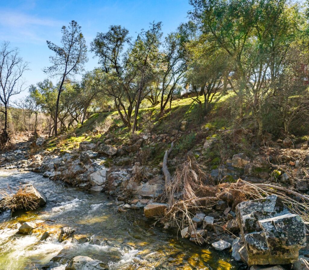 A creek rushing in the foreground with rocks, trees and a sloping hill on the right side of the photo.